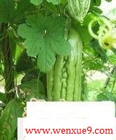 ļʵĿ