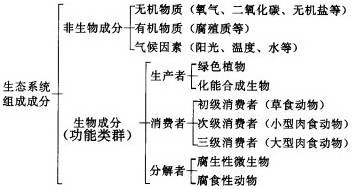 高二生物生态系统的结构教学设计