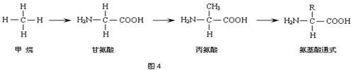 高中生物论文:浅谈高中生物教学中如何进行跨学科综合